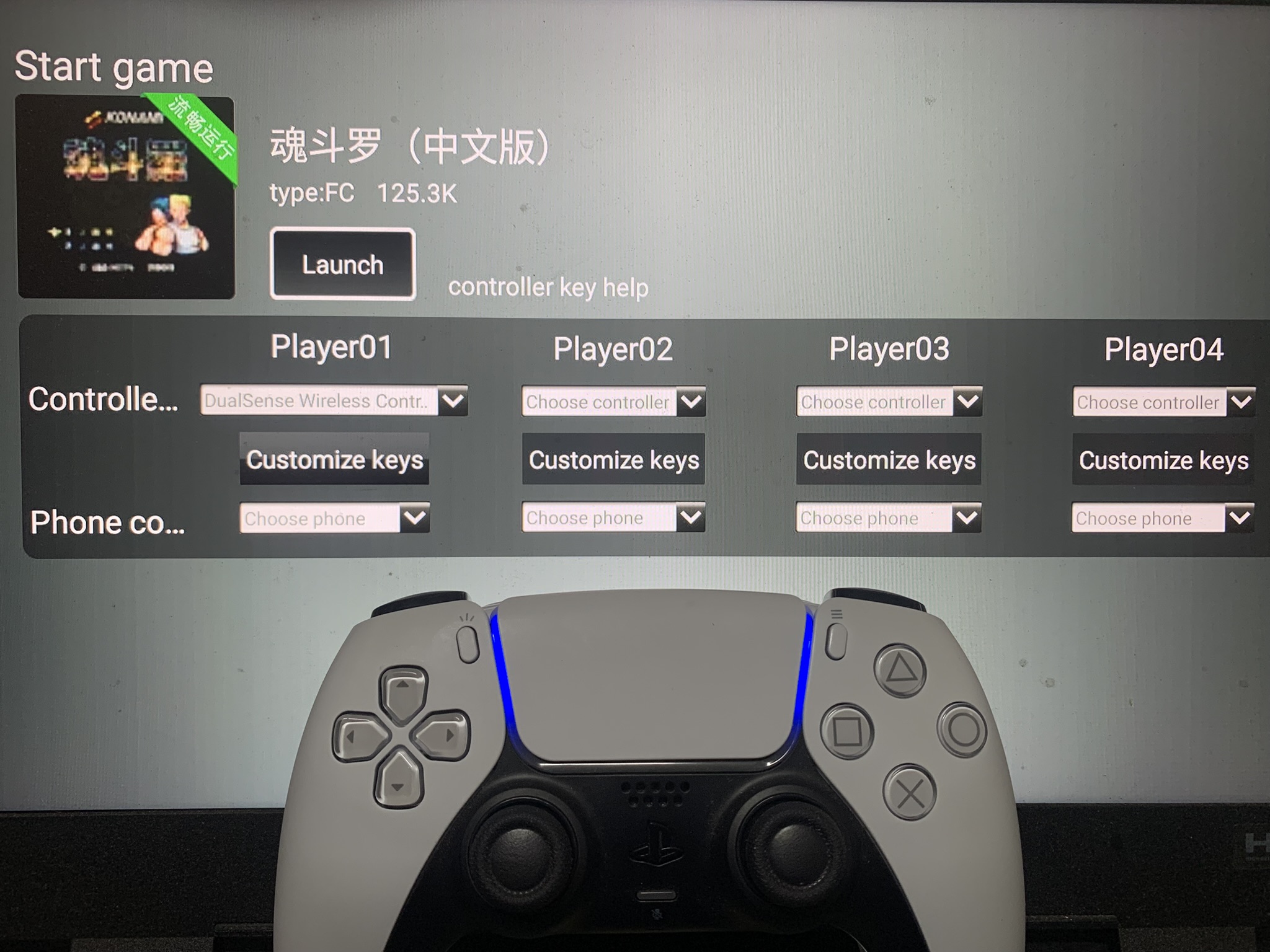 【小雞模擬器TV版】從安裝到用手把玩